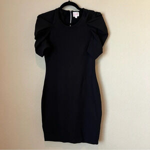 Parker Scrunch Sleeve mini dress
